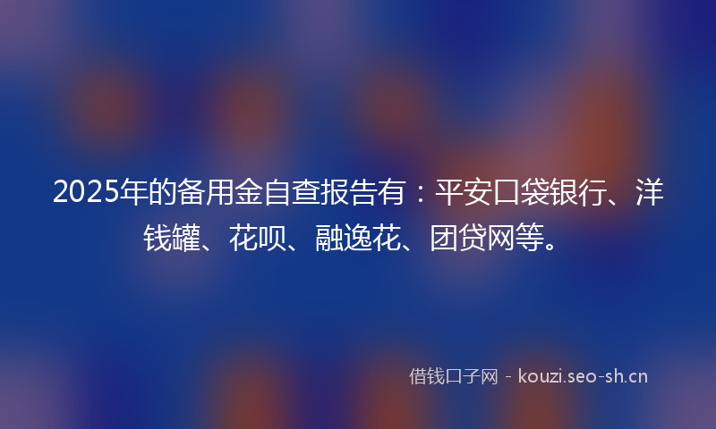 2025年的备用金自查报告有：平安口袋银行、洋钱罐、花呗、融逸花、团贷网等。