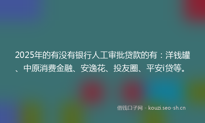 2025年的有没有银行人工审批贷款的有：洋钱罐、中原消费金融、安逸花、投友圈、平安i贷等。