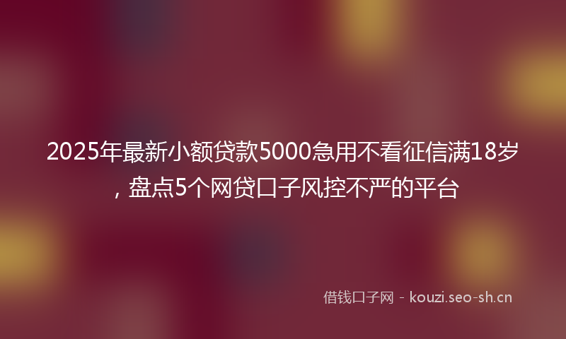 2025年最新小额贷款5000急用不看征信满18岁，盘点5个网贷口子风控不严的平台