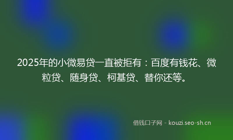2025年的小微易贷一直被拒有：百度有钱花、微粒贷、随身贷、柯基贷、替你还等。