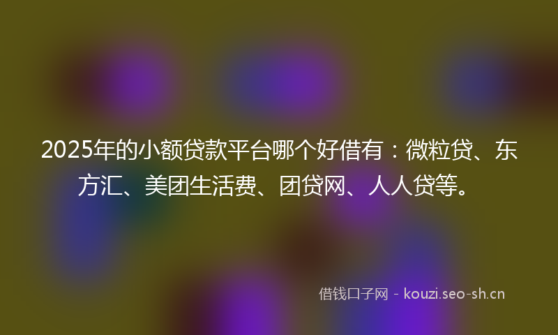 2025年的小额贷款平台哪个好借有：微粒贷、东方汇、美团生活费、团贷网、人人贷等。