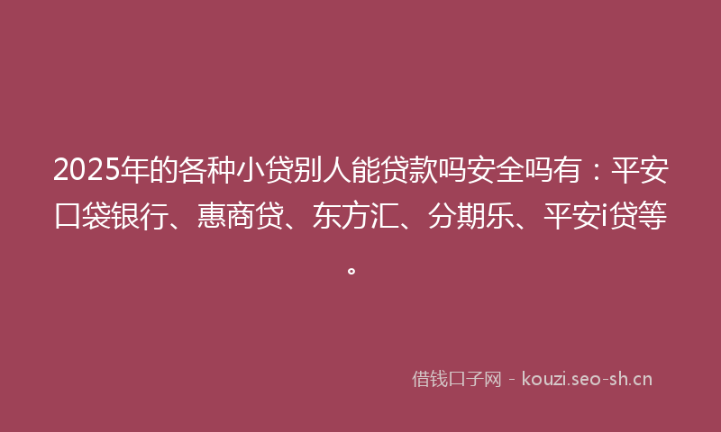 2025年的各种小贷别人能贷款吗安全吗有：平安口袋银行、惠商贷、东方汇、分期乐、平安i贷等。