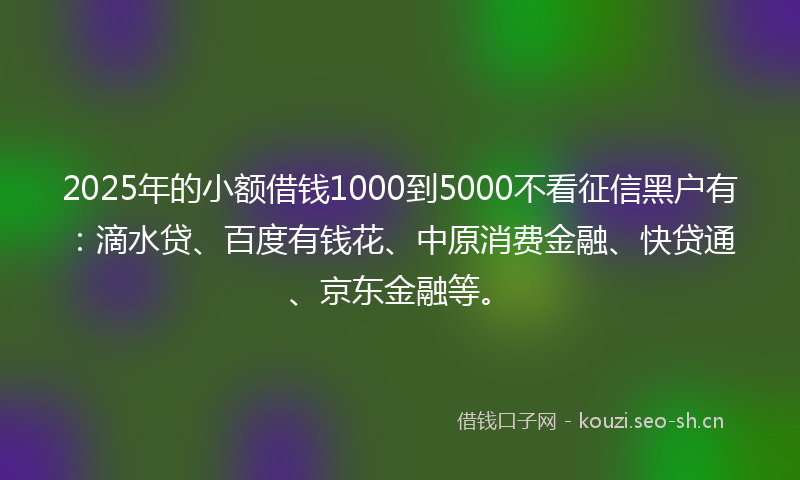 2025年的小额借钱1000到5000不看征信黑户有：滴水贷、百度有钱花、中原消费金融、快贷通、京东金融等。