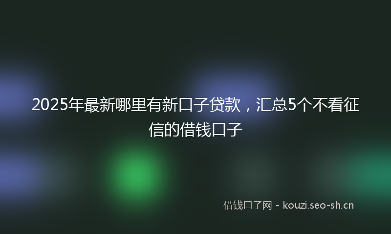 2025年最新哪里有新口子贷款，汇总5个不看征信的借钱口子