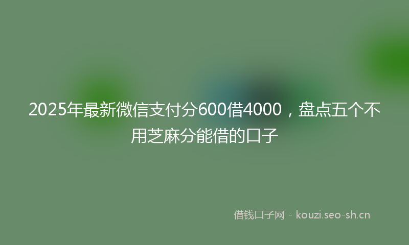 2025年最新微信支付分600借4000，盘点五个不用芝麻分能借的口子