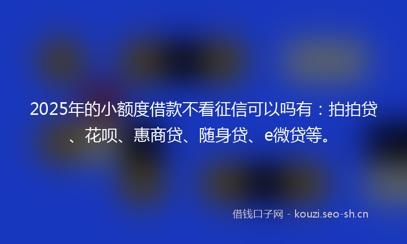 2025年的小额度借款不看征信可以吗有：拍拍贷、花呗、惠商贷、随身贷、e微贷等。