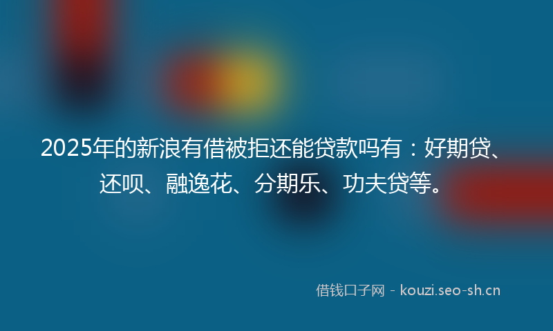 2025年的新浪有借被拒还能贷款吗有：好期贷、还呗、融逸花、分期乐、功夫贷等。