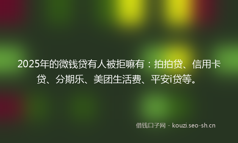 2025年的微钱贷有人被拒嘛有：拍拍贷、信用卡贷、分期乐、美团生活费、平安i贷等。