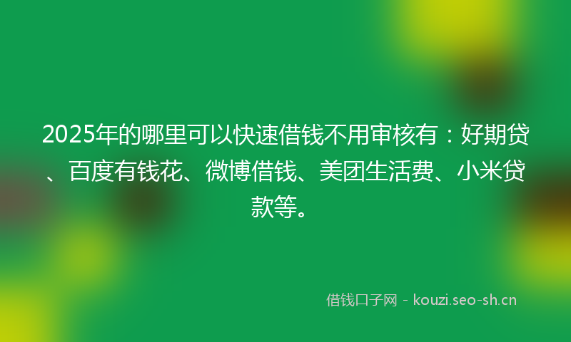 2025年的哪里可以快速借钱不用审核有：好期贷、百度有钱花、微博借钱、美团生活费、小米贷款等。