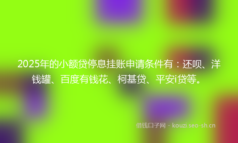2025年的小额贷停息挂账申请条件有：还呗、洋钱罐、百度有钱花、柯基贷、平安i贷等。