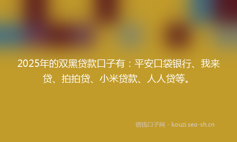2025年的双黑贷款口子有：平安口袋银行、我来贷、拍拍贷、小米贷款、人人贷等。