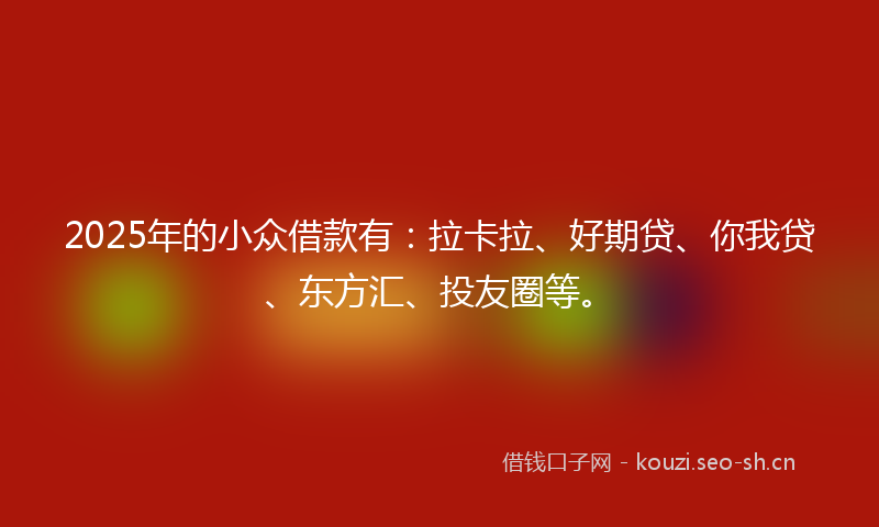 2025年的小众借款有：拉卡拉、好期贷、你我贷、东方汇、投友圈等。