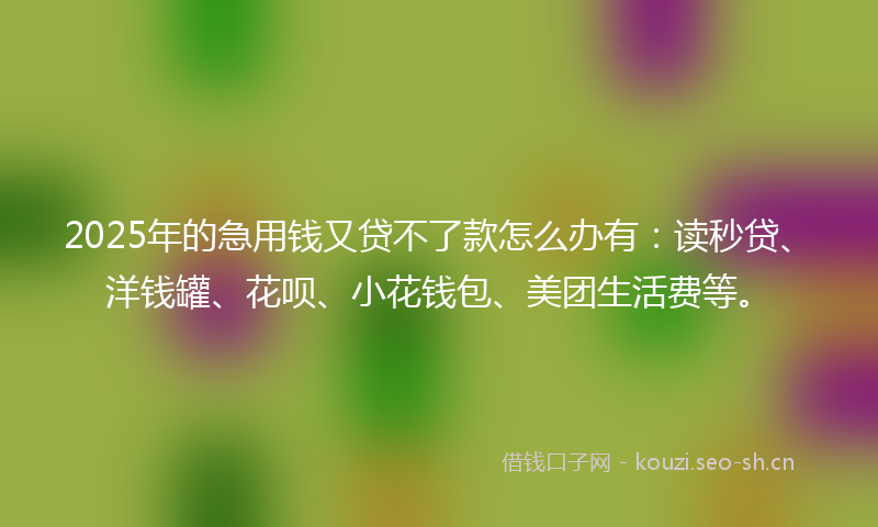 2025年的急用钱又贷不了款怎么办有：读秒贷、洋钱罐、花呗、小花钱包、美团生活费等。