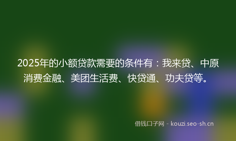 2025年的小额贷款需要的条件有：我来贷、中原消费金融、美团生活费、快贷通、功夫贷等。