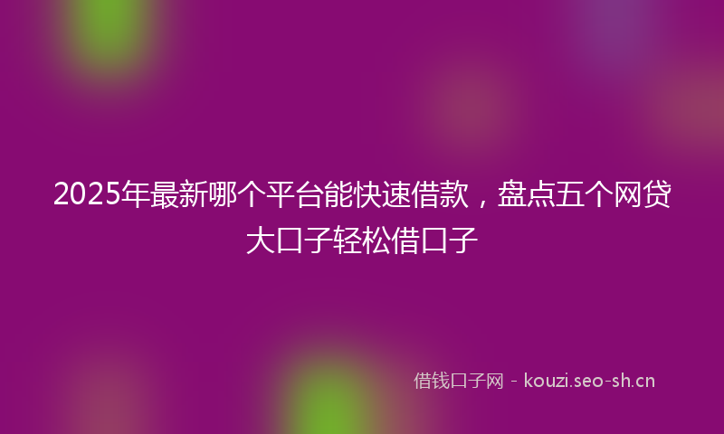 2025年最新哪个平台能快速借款，盘点五个网贷大口子轻松借口子