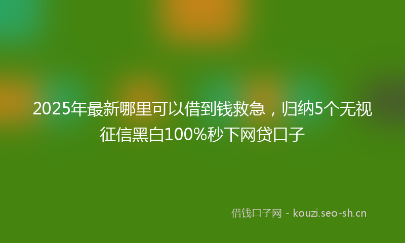 2025年最新哪里可以借到钱救急，归纳5个无视征信黑白100%秒下网贷口子