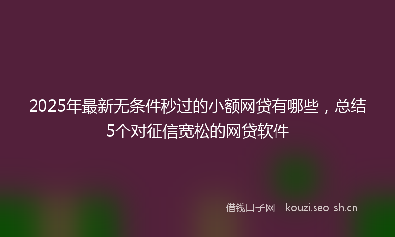 2025年最新无条件秒过的小额网贷有哪些，总结5个对征信宽松的网贷软件