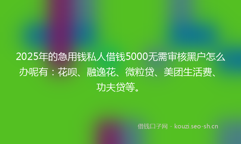 2025年的急用钱私人借钱5000无需审核黑户怎么办呢有：花呗、融逸花、微粒贷、美团生活费、功夫贷等。