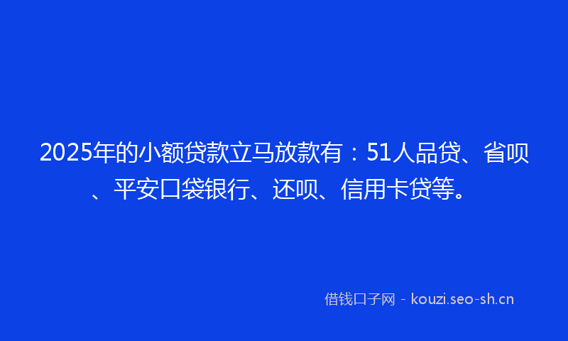 2025年的小额贷款立马放款有：51人品贷、省呗、平安口袋银行、还呗、信用卡贷等。