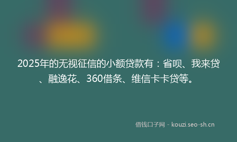 2025年的无视征信的小额贷款有：省呗、我来贷、融逸花、360借条、维信卡卡贷等。