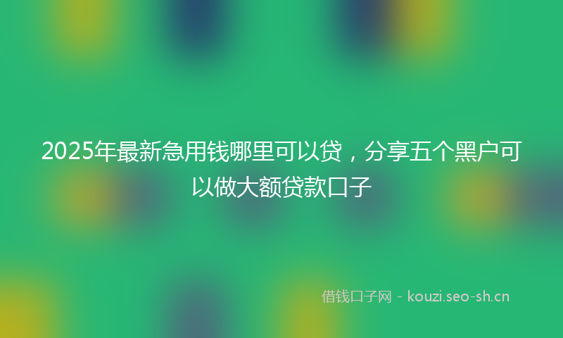 2025年最新急用钱哪里可以贷，分享五个黑户可以做大额贷款口子