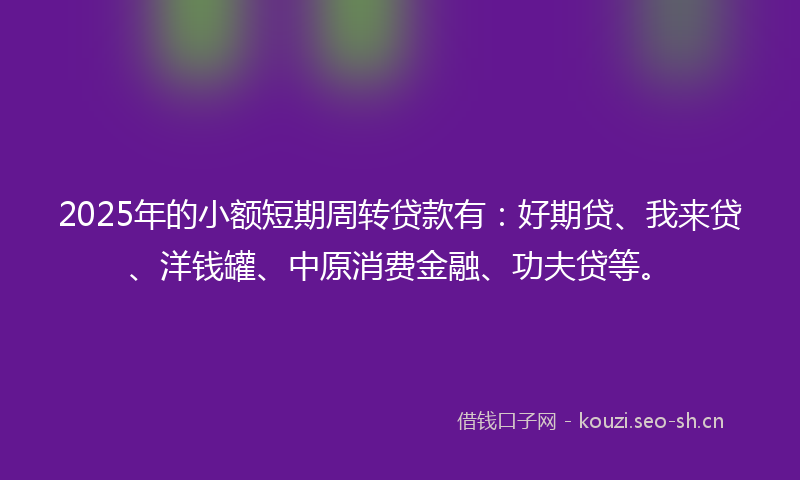 2025年的小额短期周转贷款有：好期贷、我来贷、洋钱罐、中原消费金融、功夫贷等。
