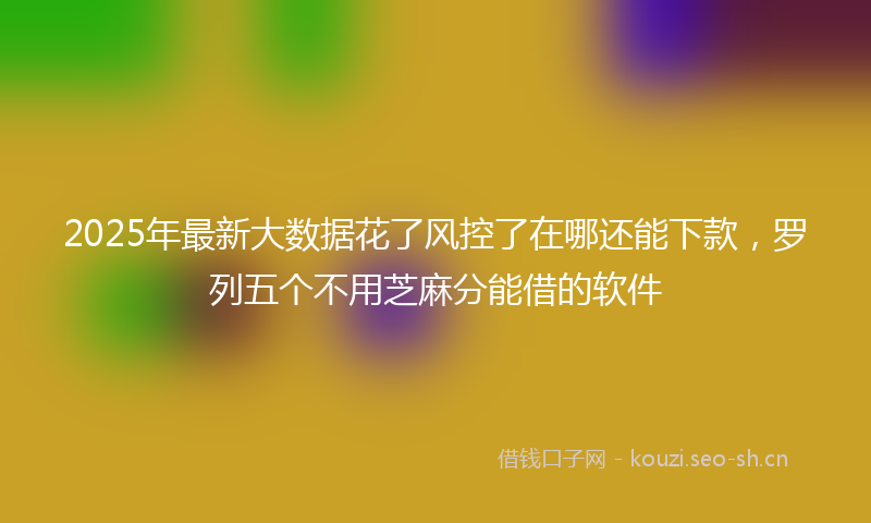 2025年最新大数据花了风控了在哪还能下款，罗列五个不用芝麻分能借的软件