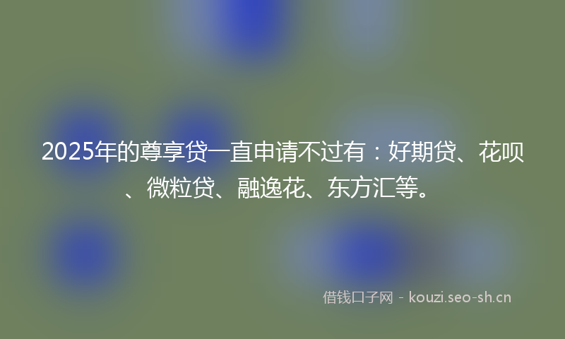 2025年的尊享贷一直申请不过有:好期贷、花呗、微粒贷、融逸花、东方汇等。