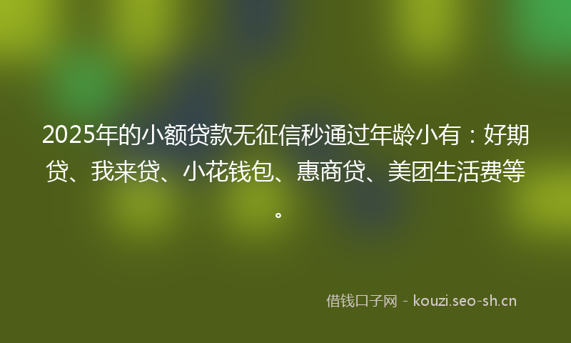 2025年的小额贷款无征信秒通过年龄小有：好期贷、我来贷、小花钱包、惠商贷、美团生活费等。