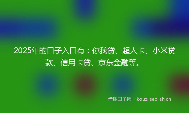 2025年的口子入口有：你我贷、超人卡、小米贷款、信用卡贷、京东金融等。