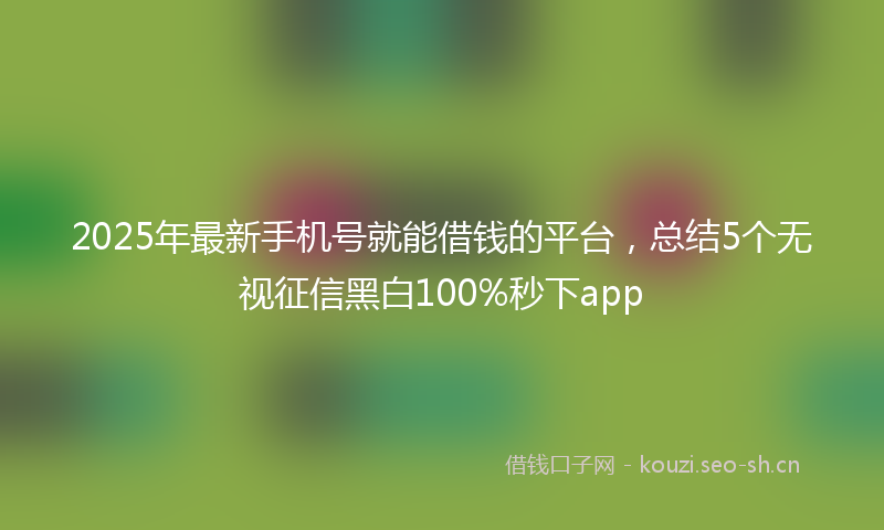 2025年最新手机号就能借钱的平台，总结5个无视征信黑白100%秒下app