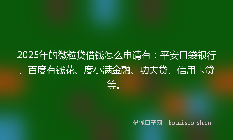 2025年的微粒贷借钱怎么申请有：平安口袋银行、百度有钱花、度小满金融、功夫贷、信用卡贷等。