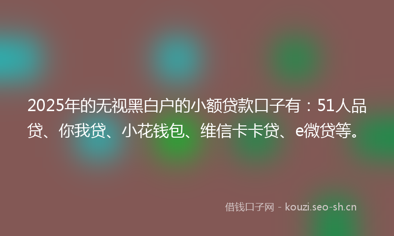2025年的无视黑白户的小额贷款口子有：51人品贷、你我贷、小花钱包、维信卡卡贷、e微贷等。