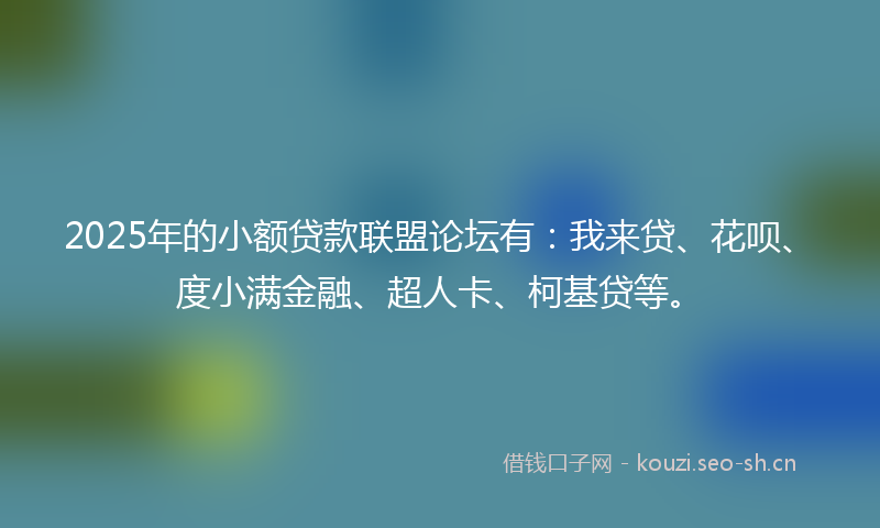 2025年的小额贷款联盟论坛有：我来贷、花呗、度小满金融、超人卡、柯基贷等。