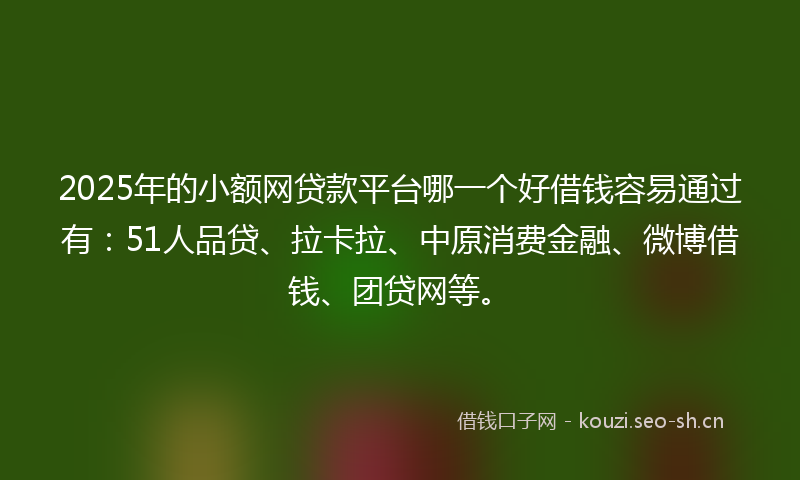 2025年的小额网贷款平台哪一个好借钱容易通过有：51人品贷、拉卡拉、中原消费金融、微博借钱、团贷网等。