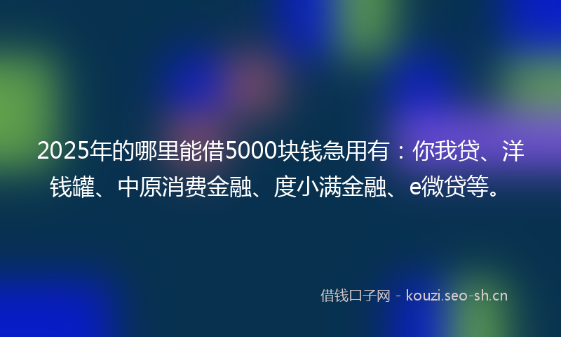 2025年的哪里能借5000块钱急用有：你我贷、洋钱罐、中原消费金融、度小满金融、e微贷等。