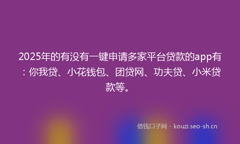 2025年的有没有一键申请多家平台贷款的app有：你我贷、小花钱包、团贷网、功夫贷、小米贷款等。