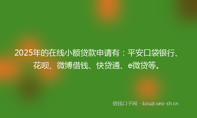 2025年的在线小额贷款申请有：平安口袋银行、花呗、微博借钱、快贷通、e微贷等。