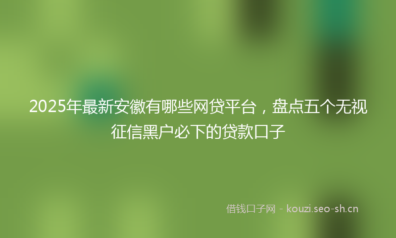 2025年最新安徽有哪些网贷平台，盘点五个无视征信黑户必下的贷款口子