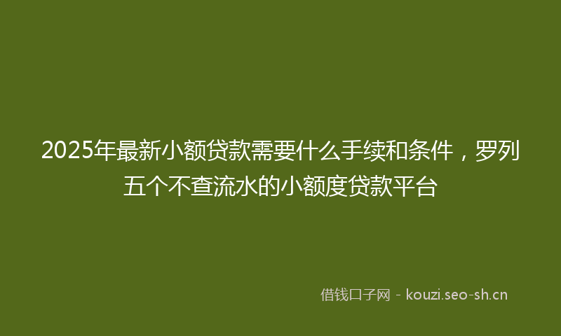 2025年最新小额贷款需要什么手续和条件，罗列五个不查流水的小额度贷款平台