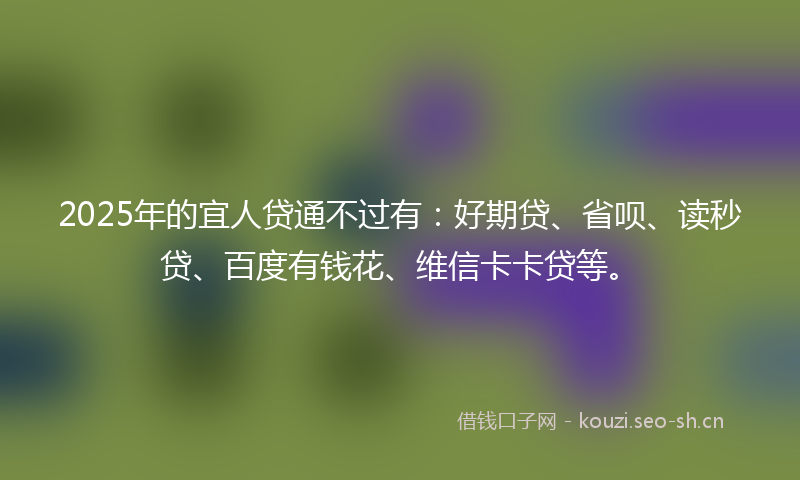 2025年的宜人贷通不过有：好期贷、省呗、读秒贷、百度有钱花、维信卡卡贷等。