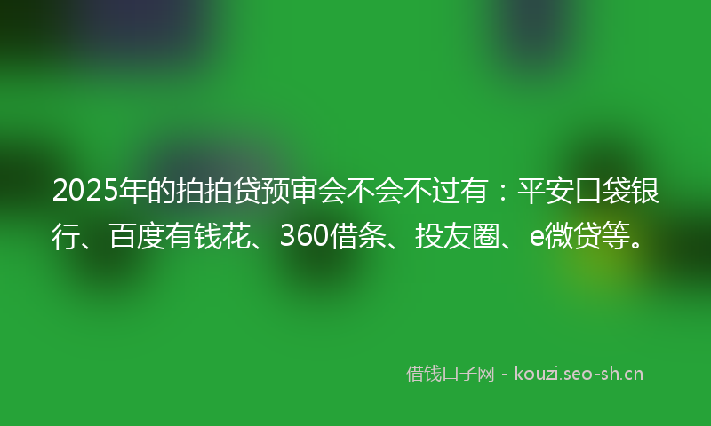 2025年的拍拍贷预审会不会不过有：平安口袋银行、百度有钱花、360借条、投友圈、e微贷等。