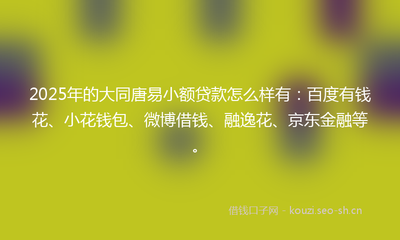 2025年的大同唐易小额贷款怎么样有：百度有钱花、小花钱包、微博借钱、融逸花、京东金融等。
