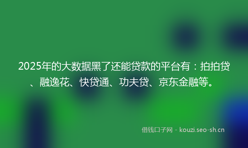 2025年的大数据黑了还能贷款的平台有：拍拍贷、融逸花、快贷通、功夫贷、京东金融等。