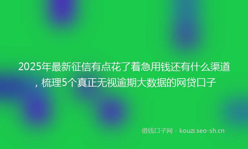 2025年最新征信有点花了着急用钱还有什么渠道，梳理5个真正无视逾期大数据的网贷口子