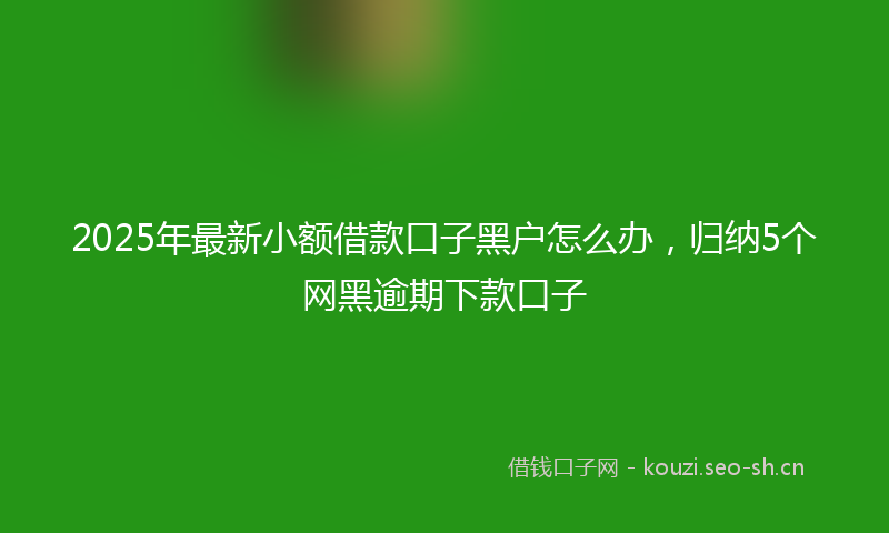 2025年最新小额借款口子黑户怎么办，归纳5个网黑逾期下款口子