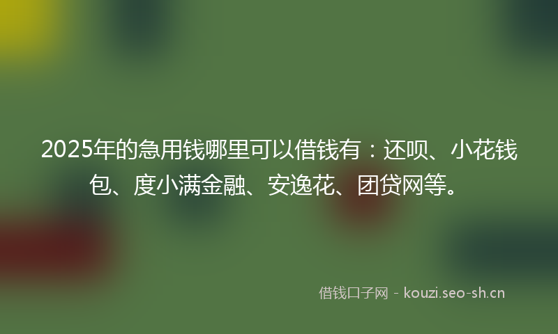 2025年的急用钱哪里可以借钱有：还呗、小花钱包、度小满金融、安逸花、团贷网等。
