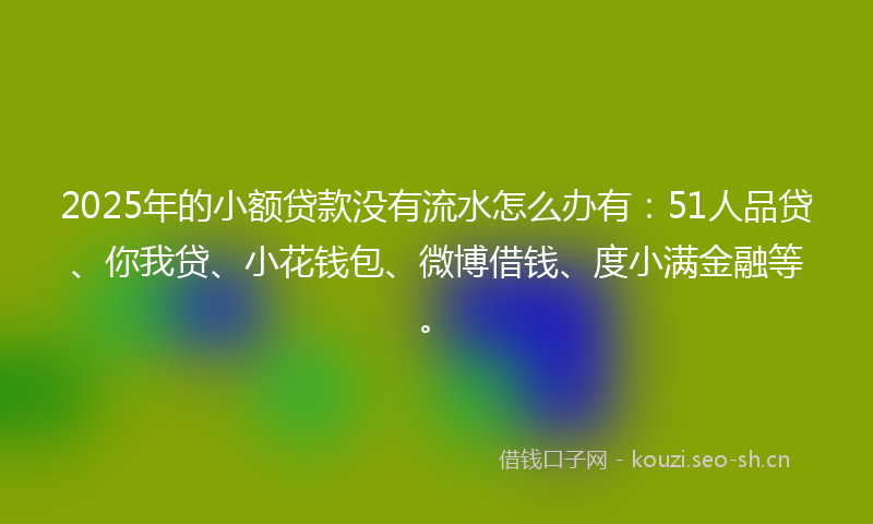 2025年的小额贷款没有流水怎么办有：51人品贷、你我贷、小花钱包、微博借钱、度小满金融等。