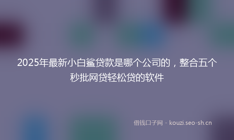 2025年最新小白鲨贷款是哪个公司的，整合五个秒批网贷轻松贷的软件