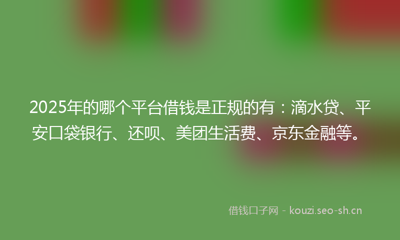 2025年的哪个平台借钱是正规的有：滴水贷、平安口袋银行、还呗、美团生活费、京东金融等。